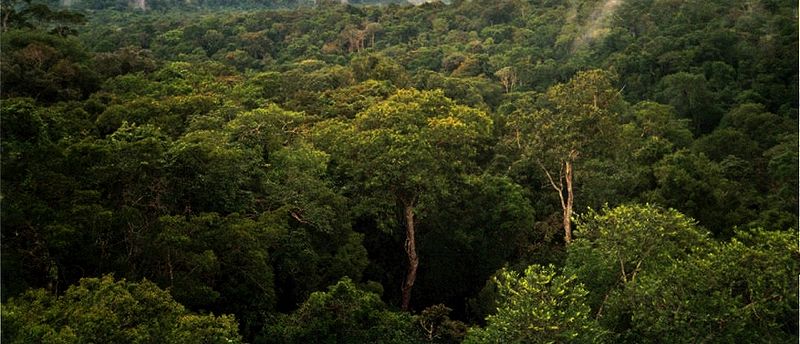 Selva Amazonas