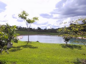 Parque Nacional de Brasilia